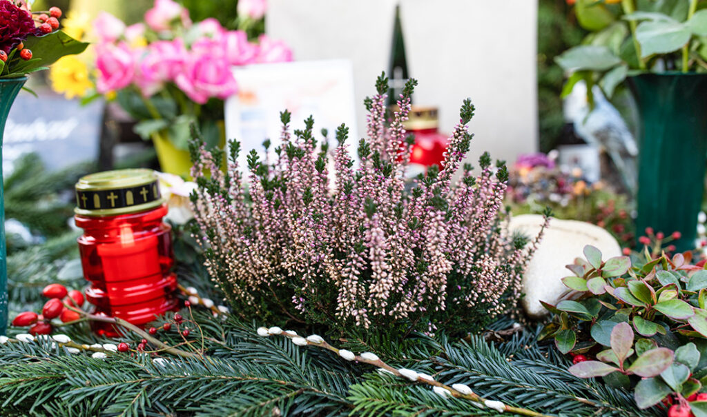 Winterlich gestaltetes Grab mit robusten Pflanzen und Zwergen, sowie einer kleinen roten Kerze.