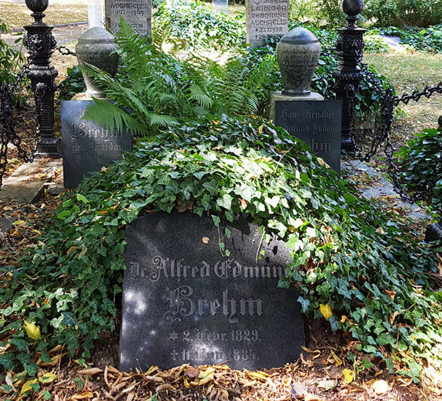 historische Familiengrabanlage mit Grabstein des bekannten Zoologen und Schriftstellers Alfred Brehm